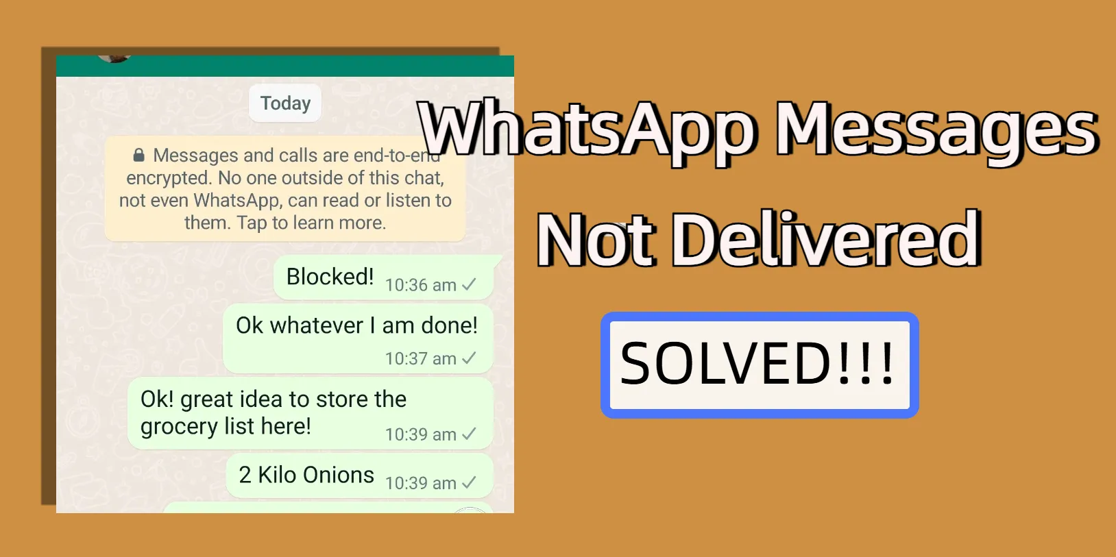 Top 7 Methods to Fix WhatsApp Message Not Delivered Issue