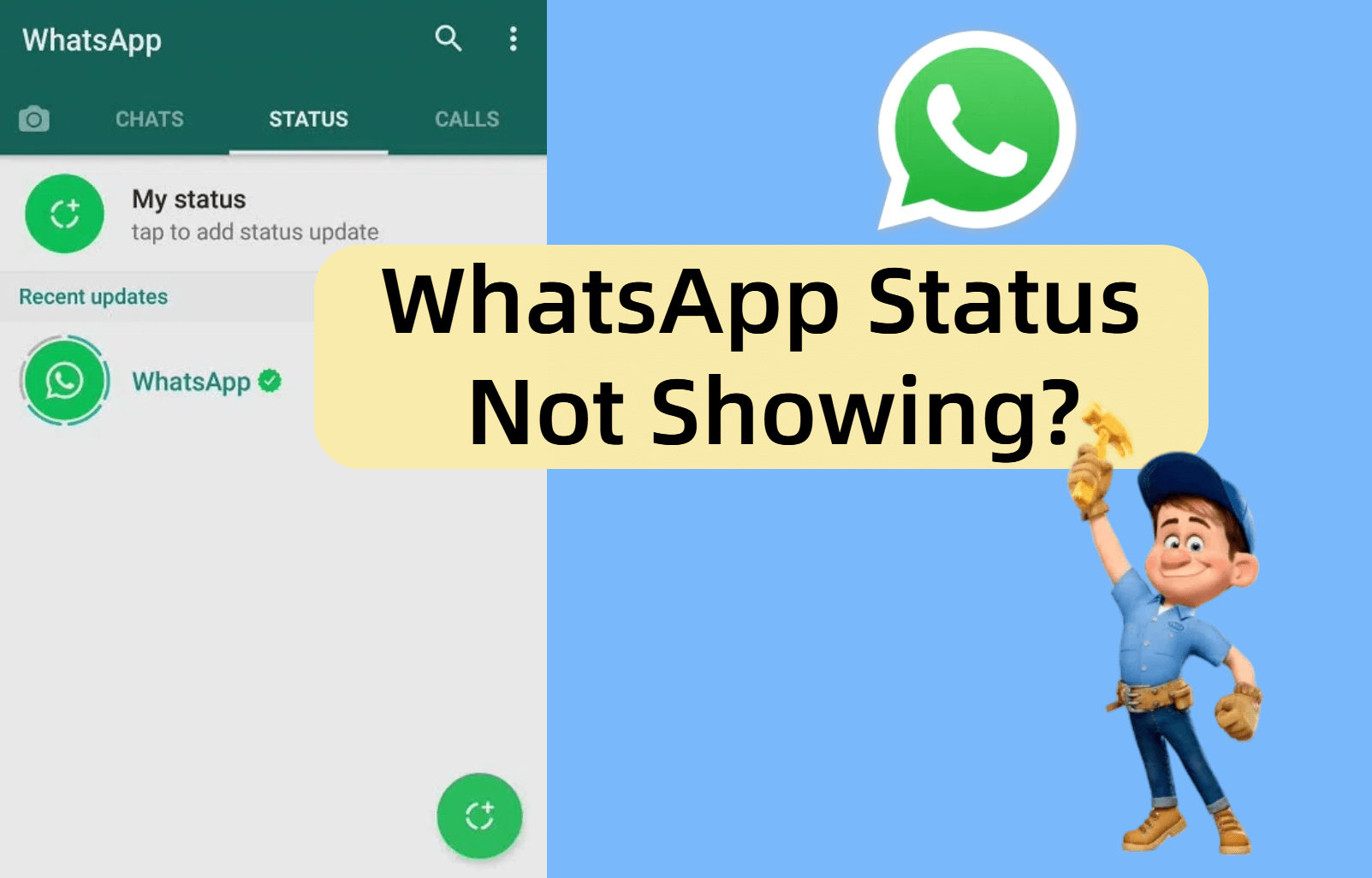 whatsApp status not showing