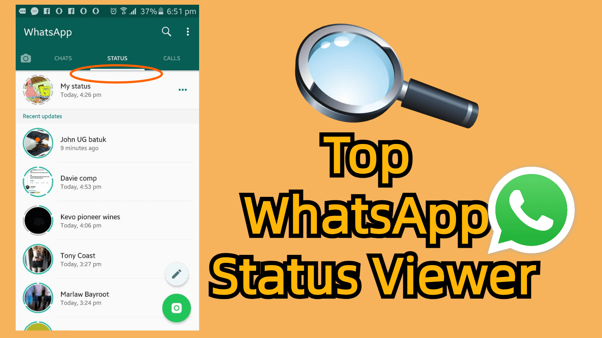 WhatsApp status viewers