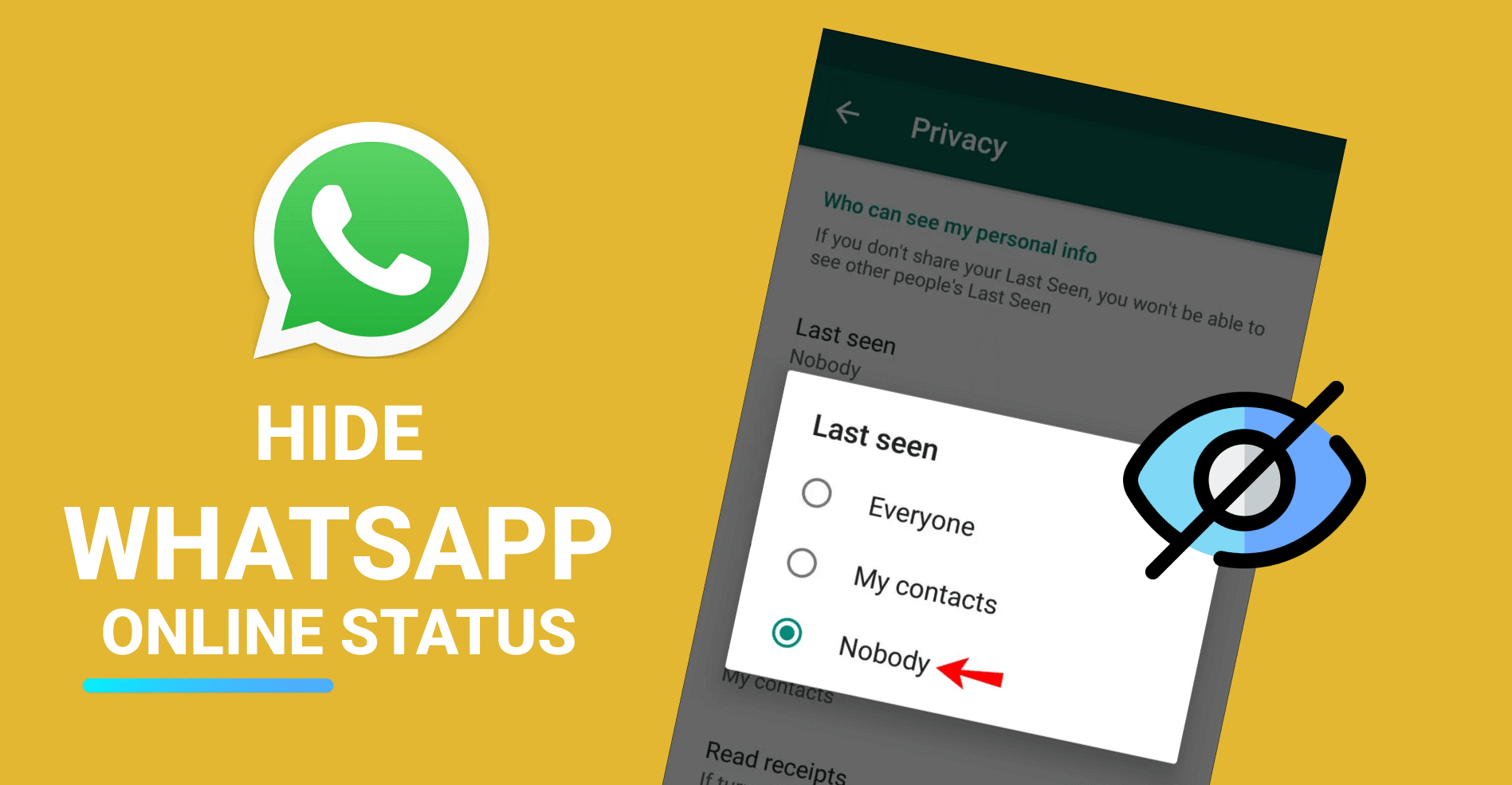 why hide whatsapp online status