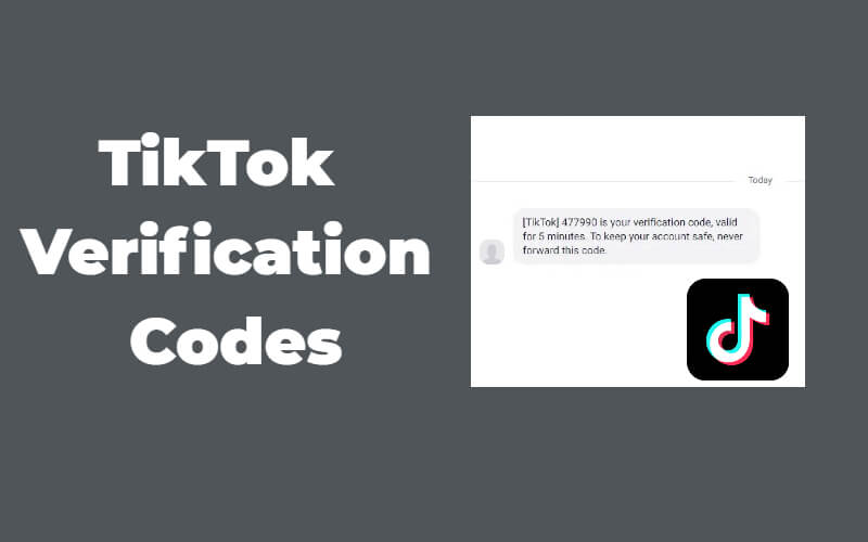 free text message that sends verification code tiktok