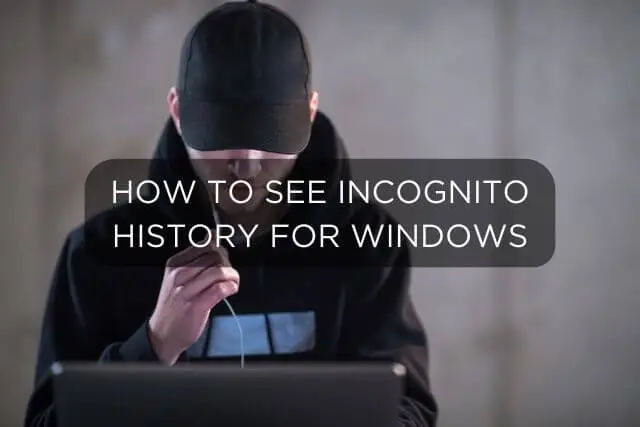 How to see incognito history on Windows