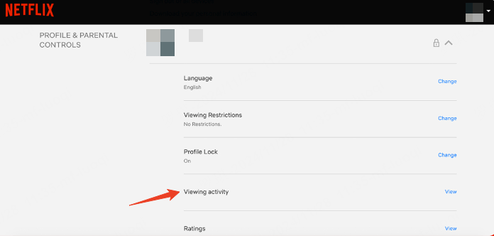 how to see netflix viewing history