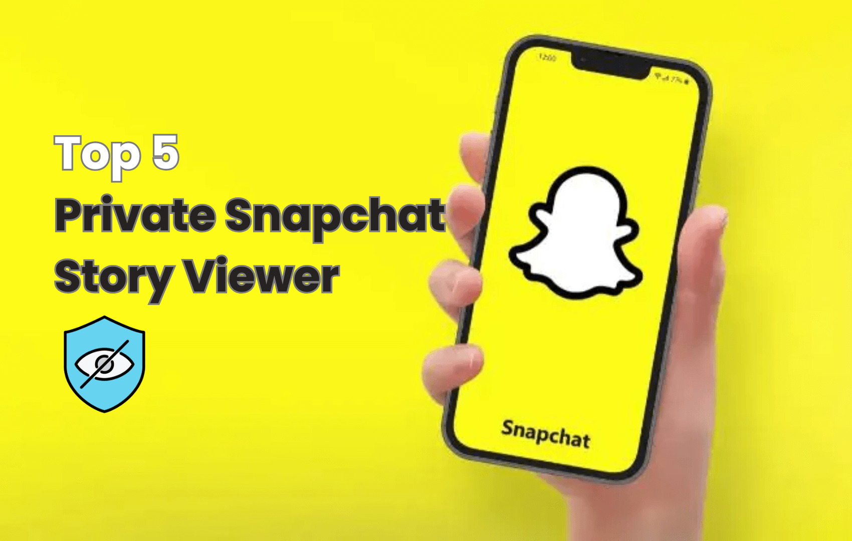 private snapchat story viewer