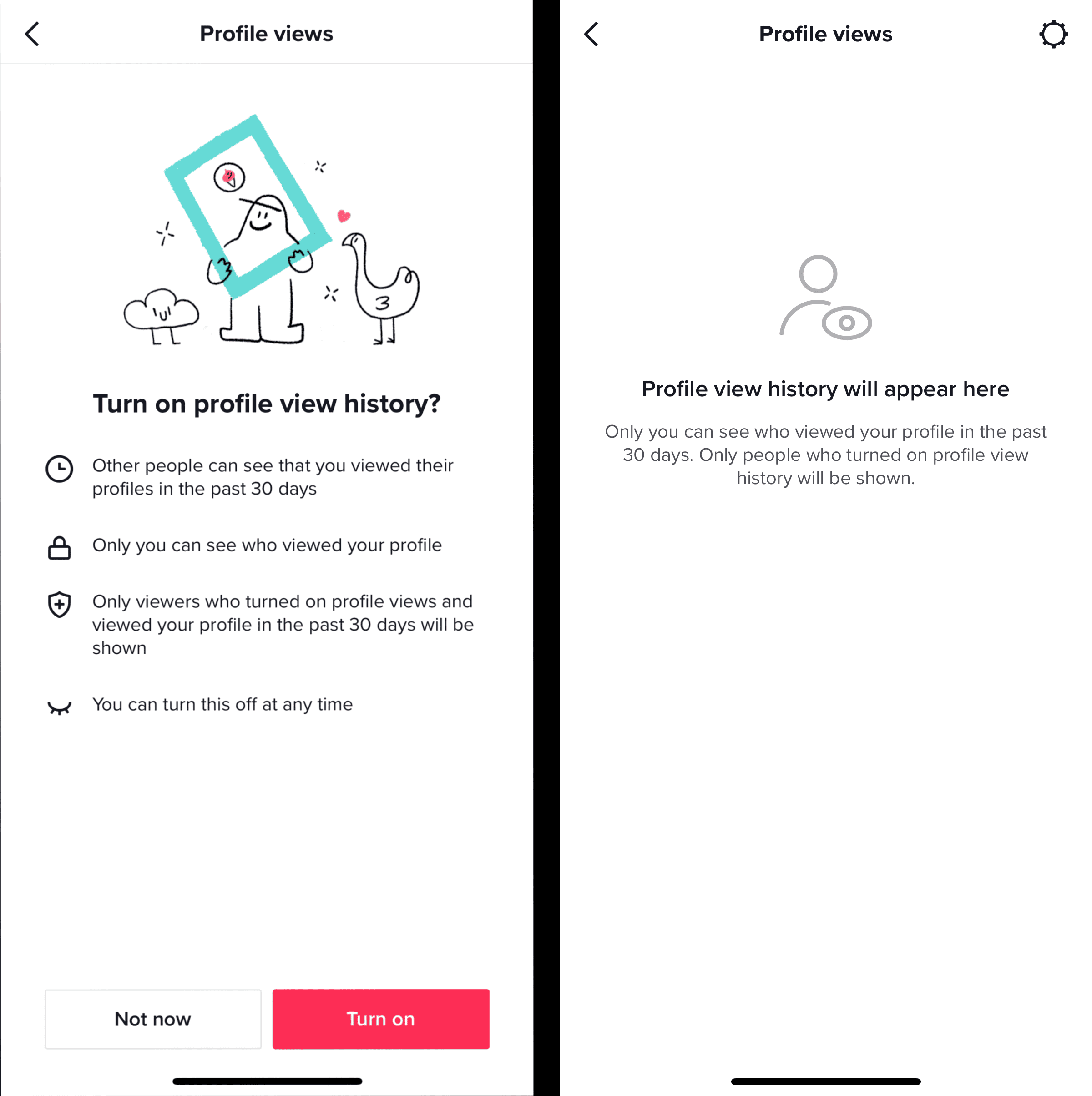 turn off tiktok profile view history