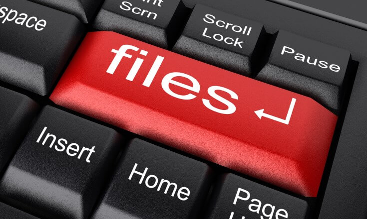 What is file integrity