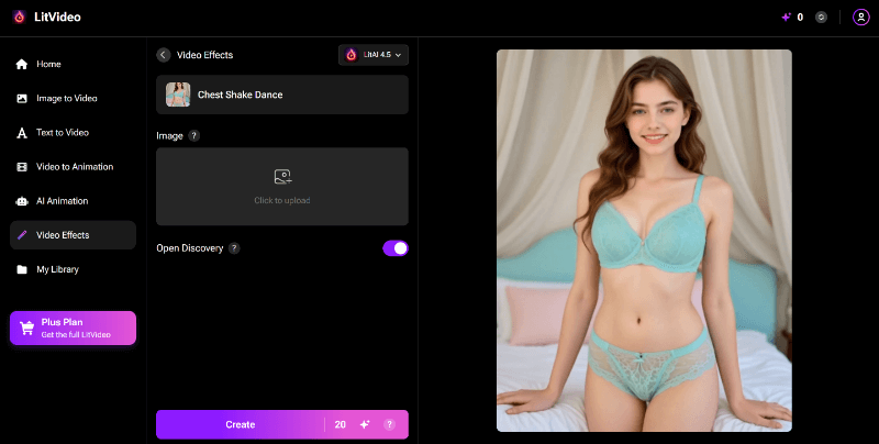 upload image in litvideo