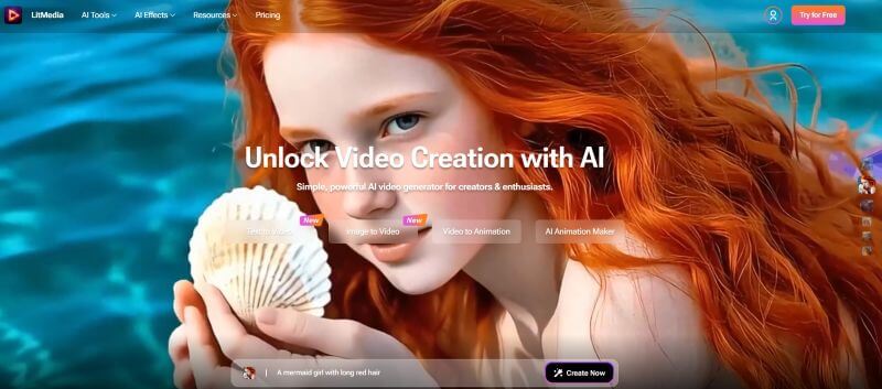 access litvideo image to video
feature