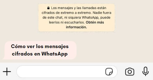 cómo ver los mensajes cifrados de WhatsApp