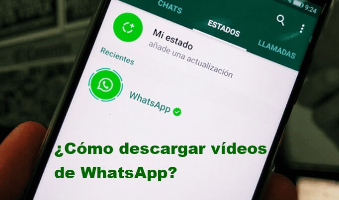 Cómo descargar vídeos de WhatsApp 