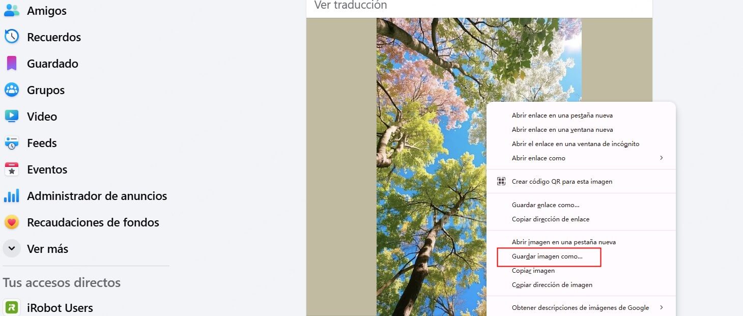 guardar foto de facebook por web