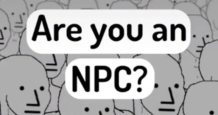 meaning of npc