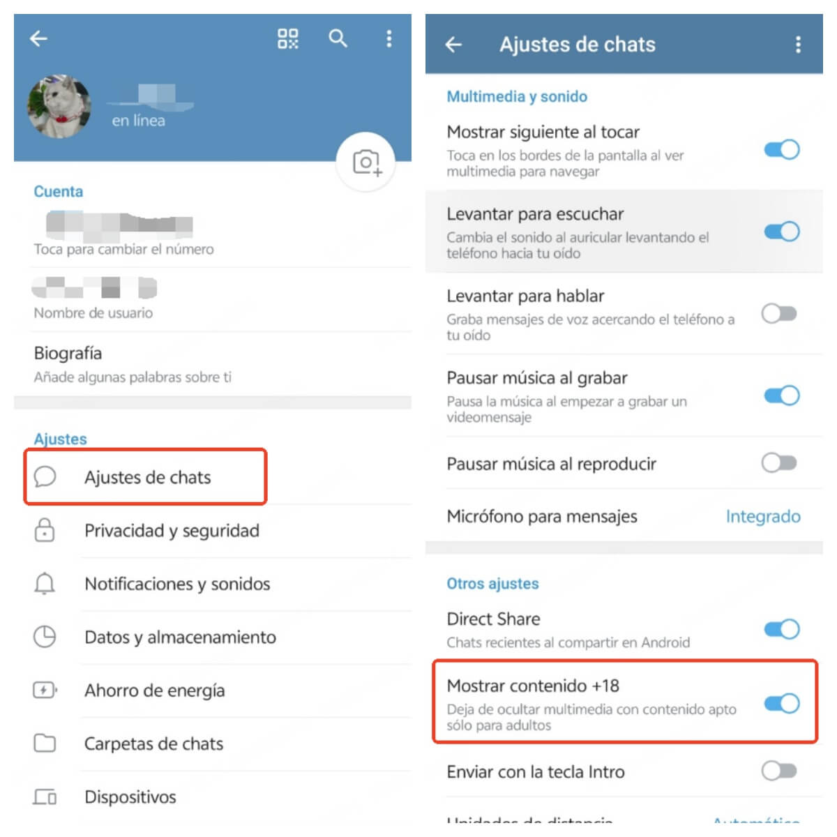 mostrar contenido 18+ en telegram