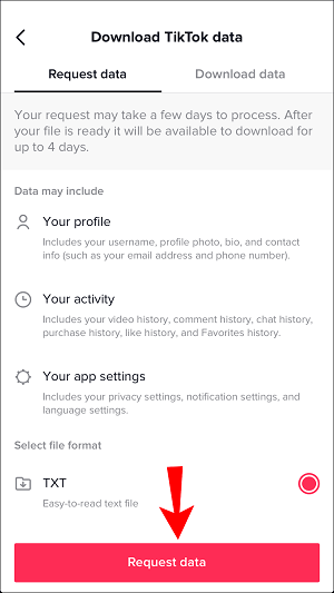 iphone tiktok request data