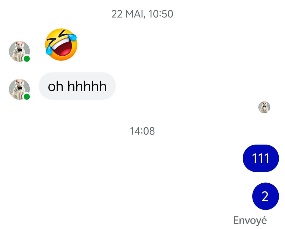 “envoyé” sur Messenger