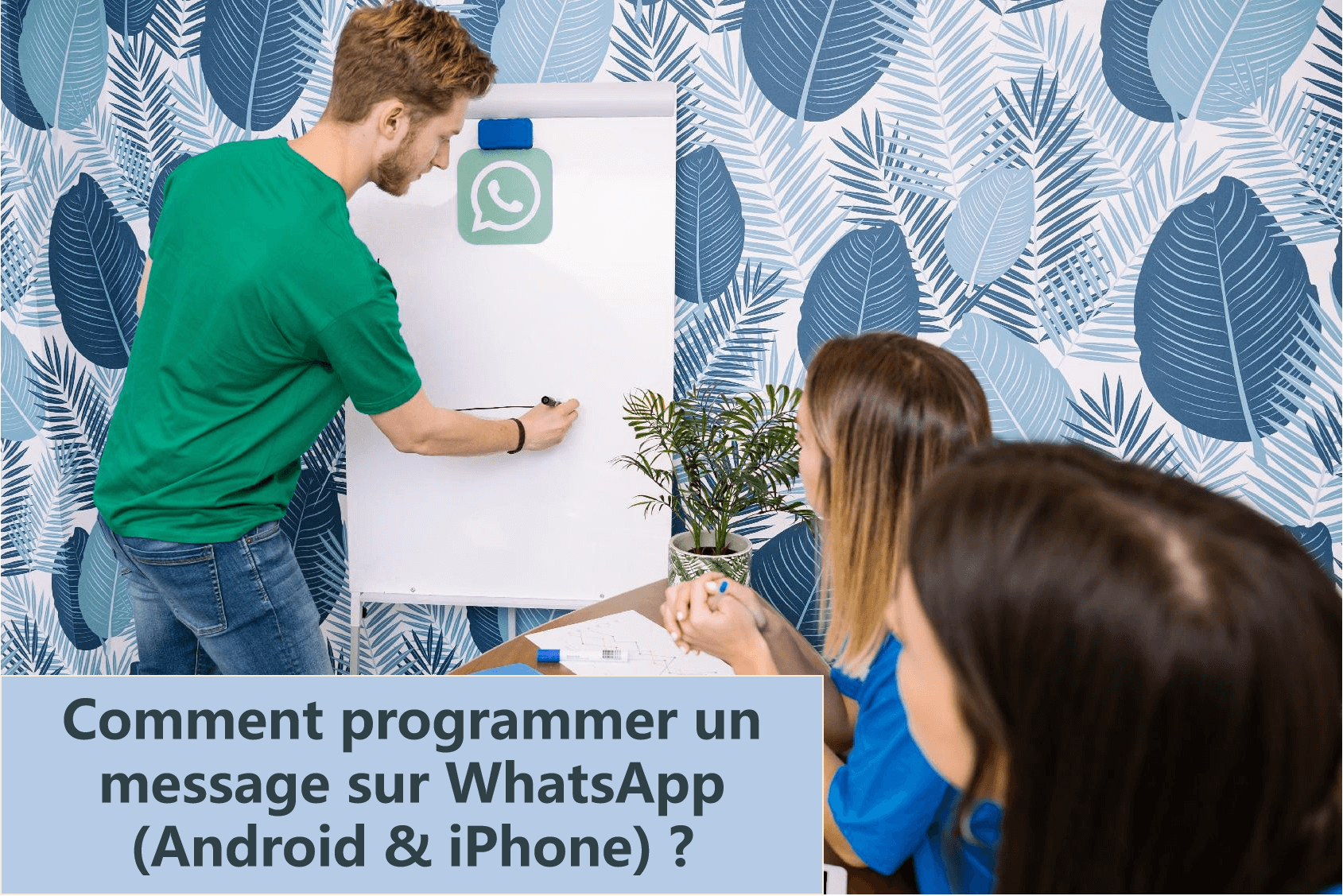 programmer un message WhatsApp