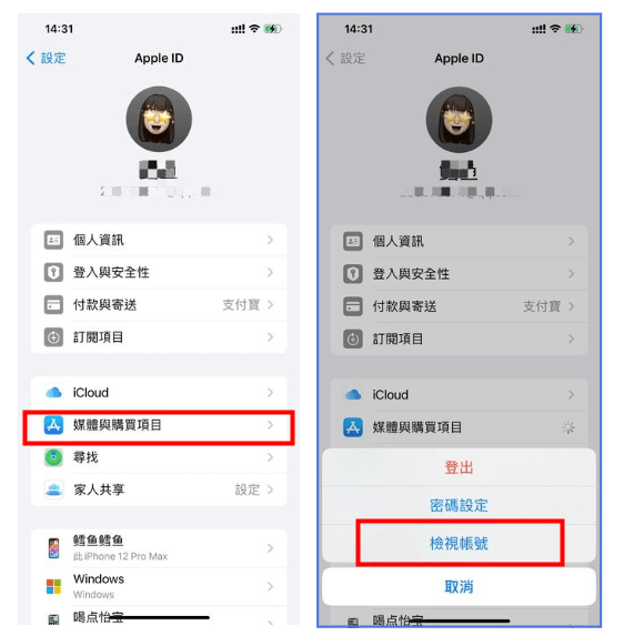 台灣王者榮燿榮耀下載iOS
