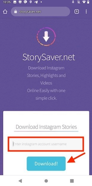 StorySaver私人Instagram查看器